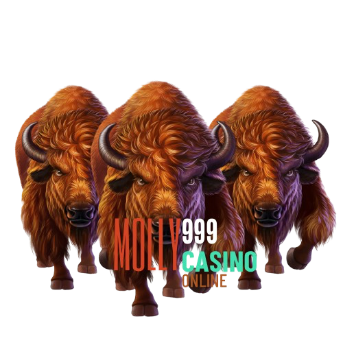 3 BET SLOT